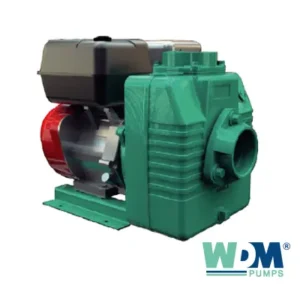 Bombas Industriales Serie AG/AAG